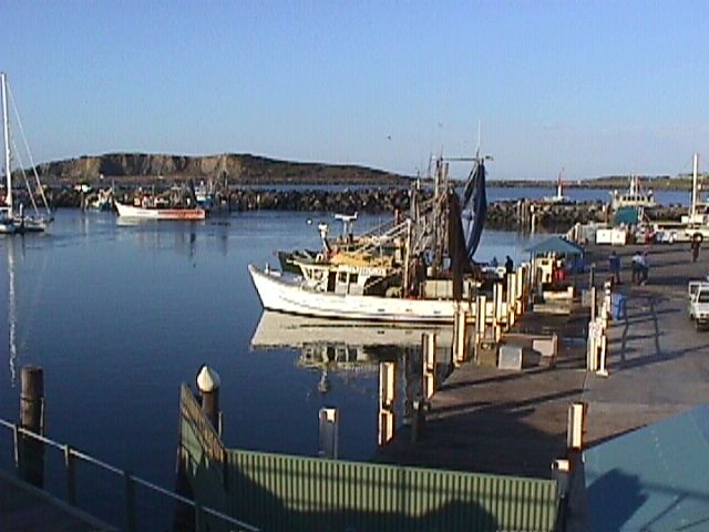 Prawn Boats